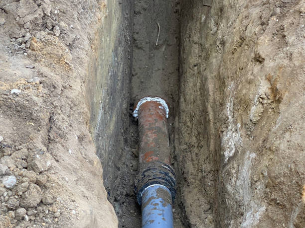 Best Professional water damage repair  in Whitfield, PA