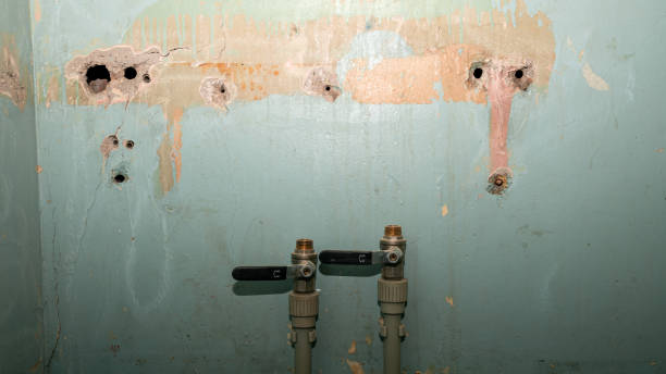 Best Water damage restoration near me  in Whitfield, PA
