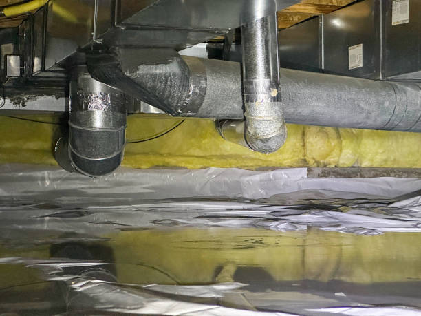 Best Water damage cleanup near me  in Whitfield, PA