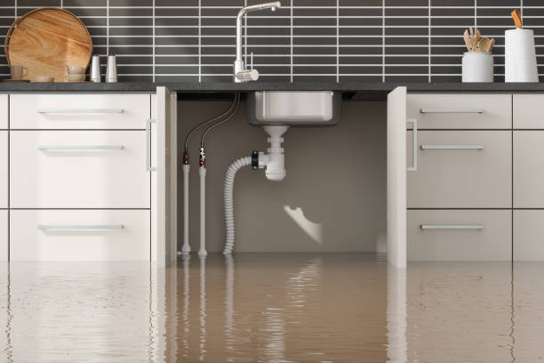 Best Flooded house restoration  in Whitfield, PA