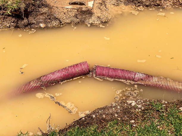 Best Basement water damage restoration  in Whitfield, PA