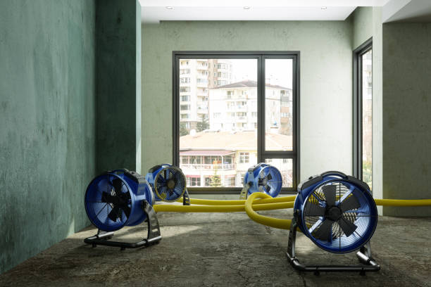 Best Water damage restoration near me  in Whitfield, PA