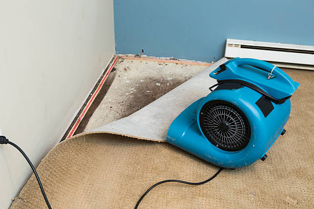 Best Mold removal after water damage  in Whitfield, PA